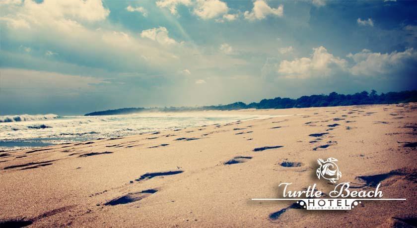Turtle Beach Hotel Ujunggenteng Rom bilde